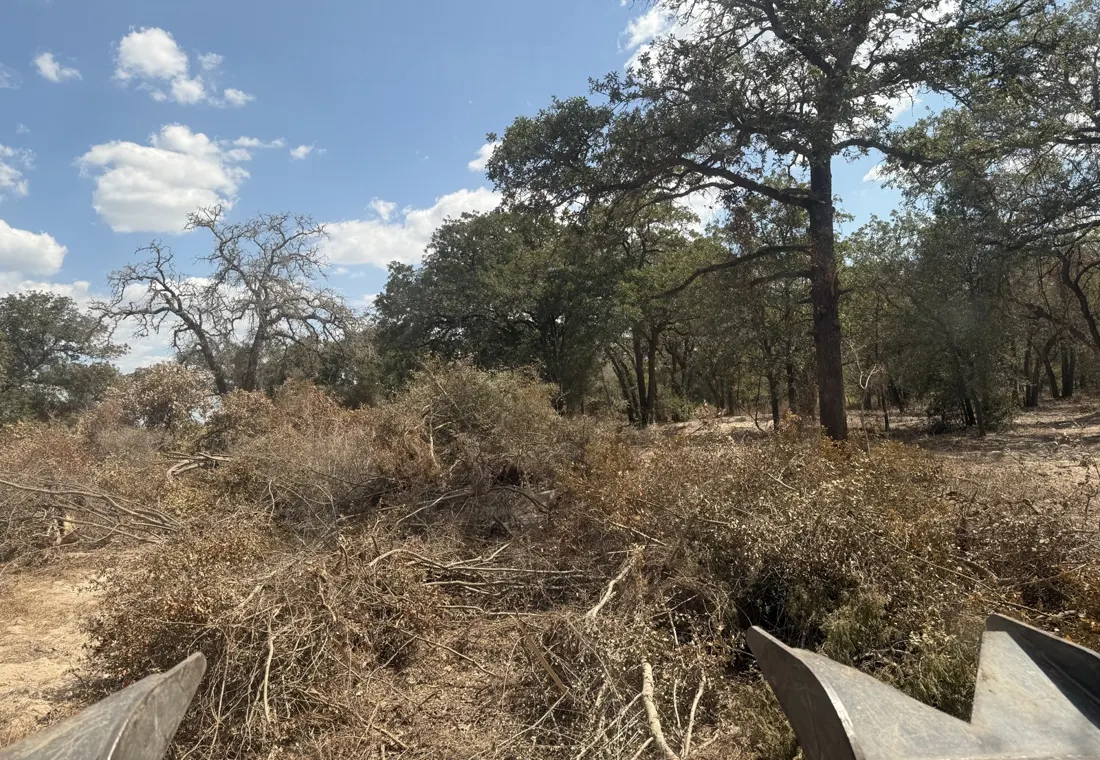 Cleared brush stacked at the edge of a newly opened lot