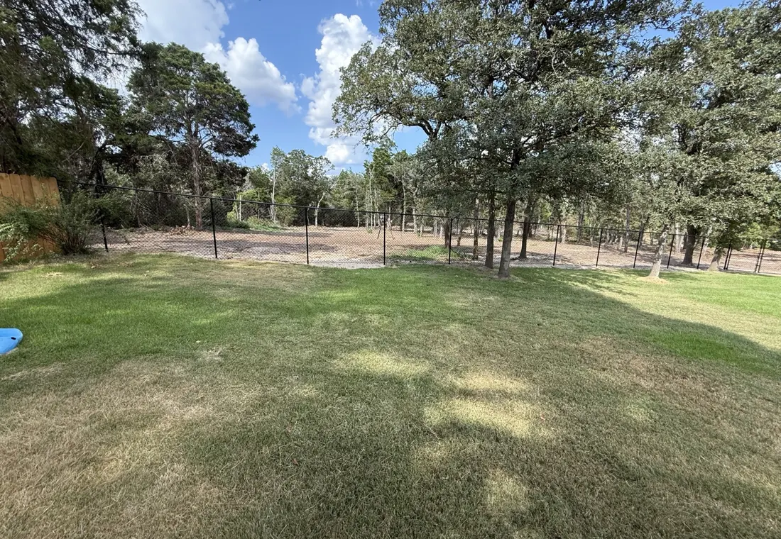 A strip of brush cleared along a property line with trees retained behind
