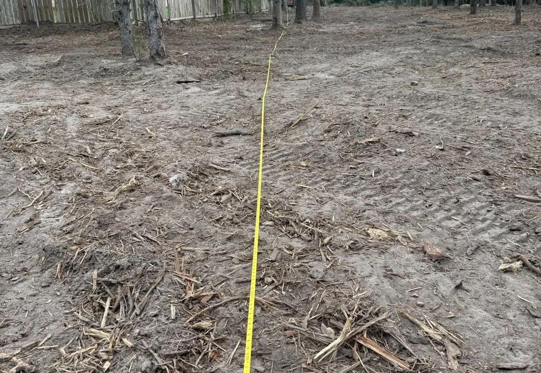 A cleared lot covered in an even layer of mulch with mature trees left standing
